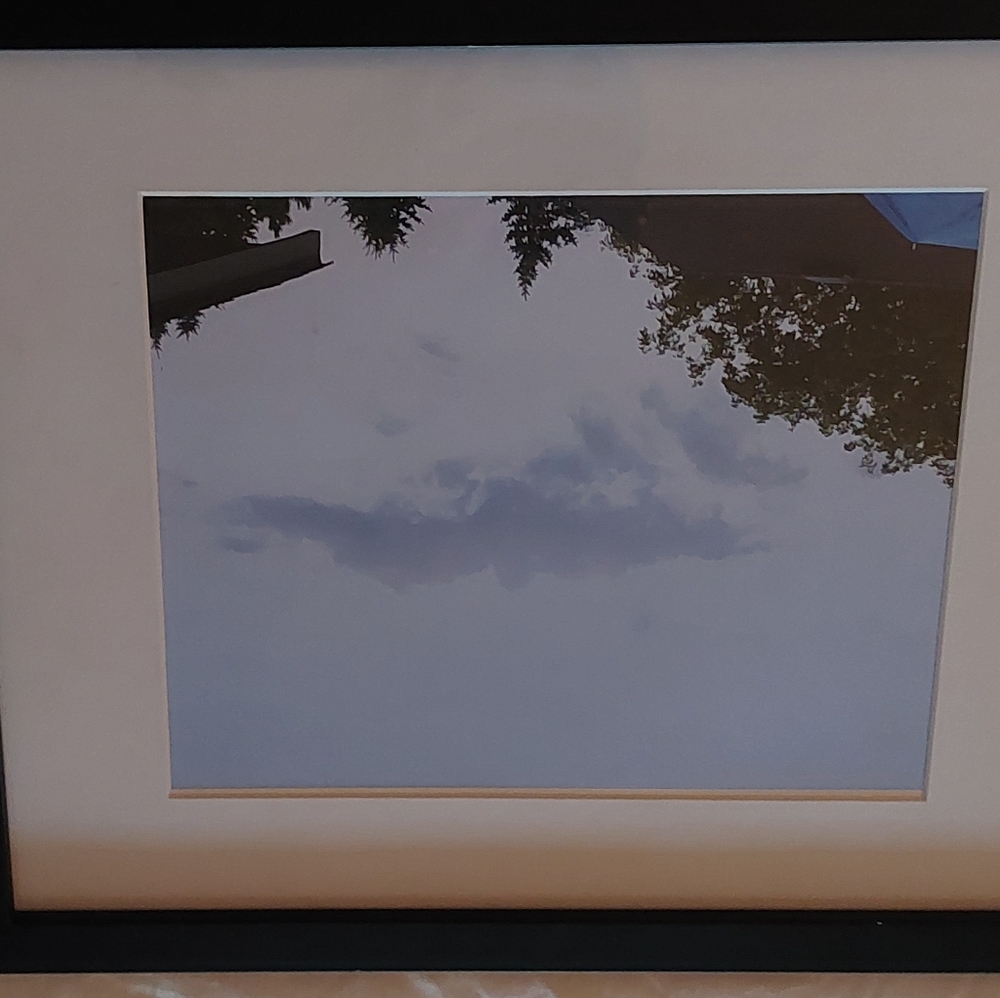 Cloud bird 1st in print